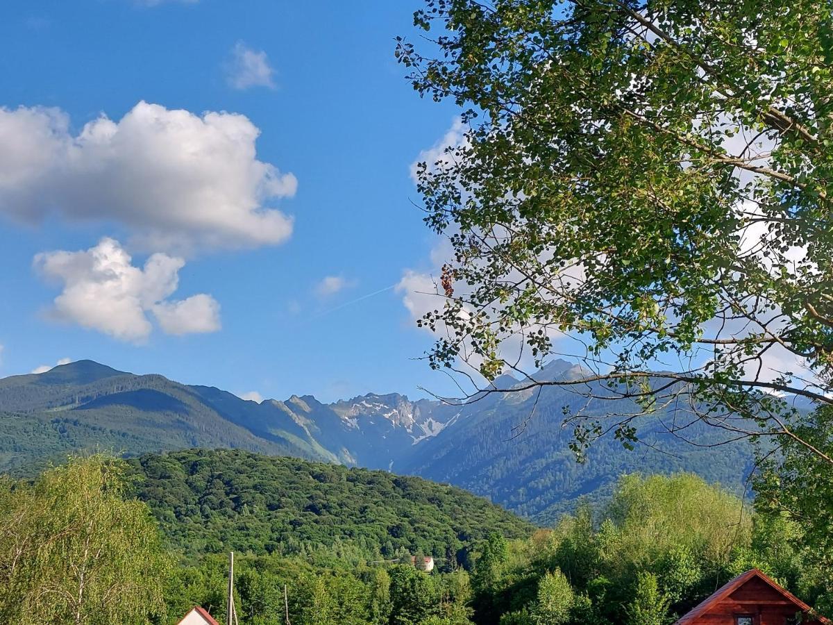Cabana Casa Lu'Baciu Arpasu de Sus ภายนอก รูปภาพ